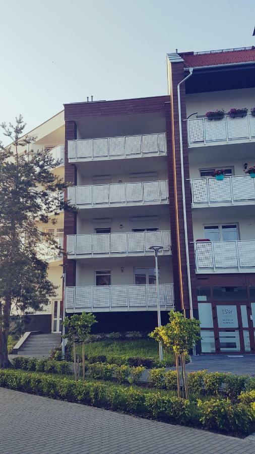 Mlynarska * Pila